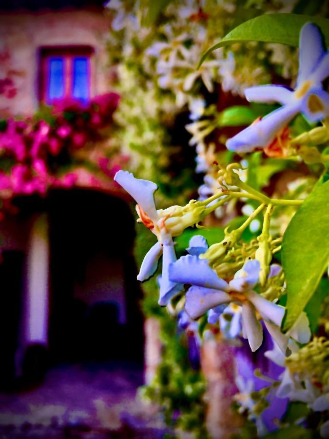 Podere Di Belforte Bagno a Ripoli Kültér fotó