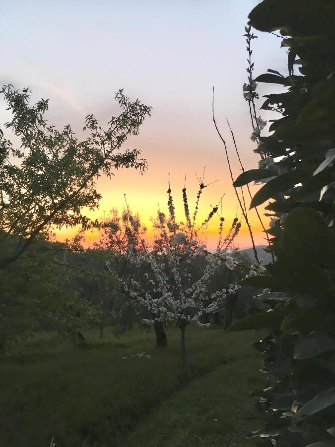 Podere Di Belforte Bagno a Ripoli Kültér fotó