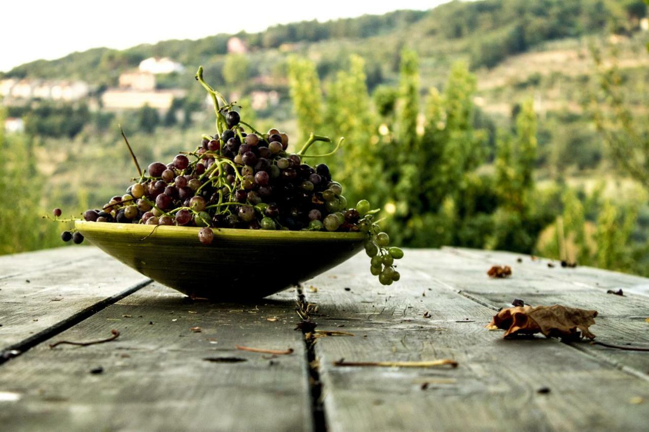 Podere Di Belforte Bagno a Ripoli Kültér fotó